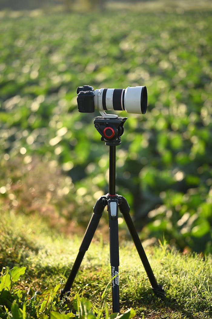 A digital Nikon camera on a tripod in a lush green rural setting.