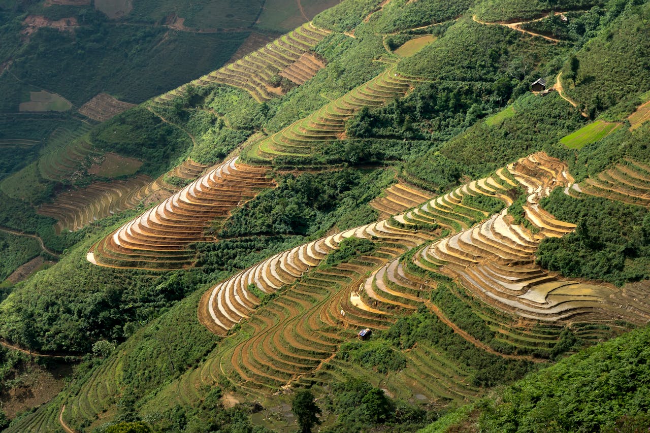 Stunning aerial view of layered rice terraces showcasing the lush green countryside.