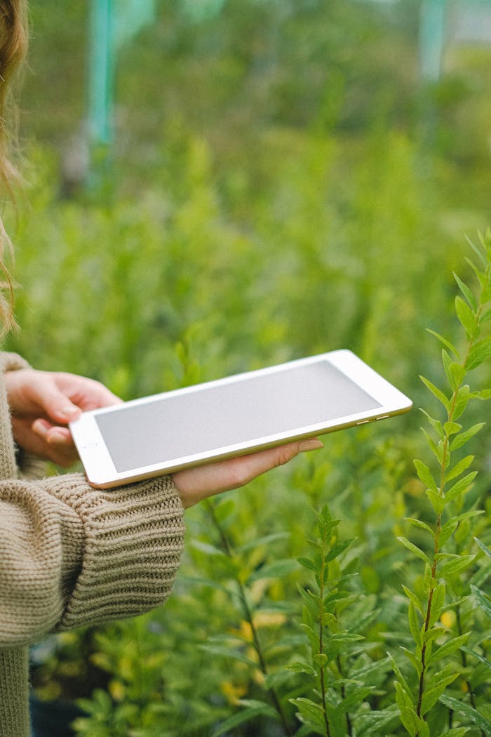services-02 A woman interacts with a tablet among lush green plants in a greenhouse, signifying modern farming technology.