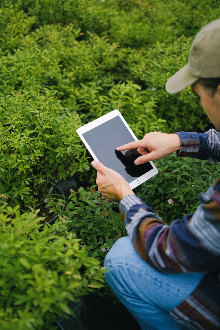 services-01 Gardener using a tablet to monitor crops in a greenhouse, enhancing efficiency.